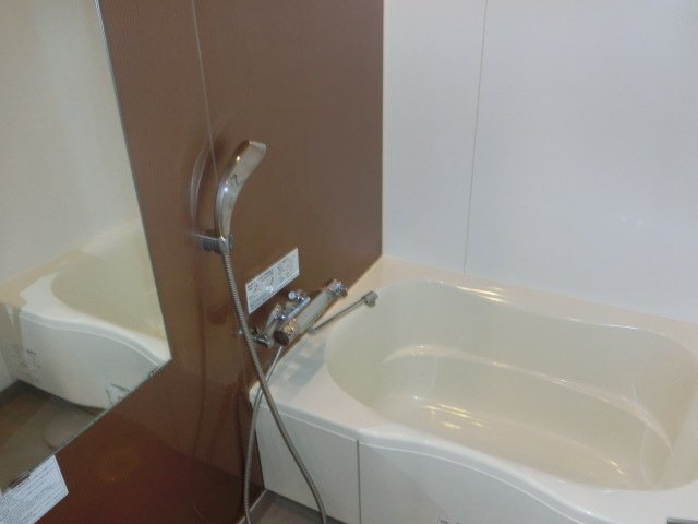 大阪市中央区安堂寺町２丁目の賃貸マンションの浴室