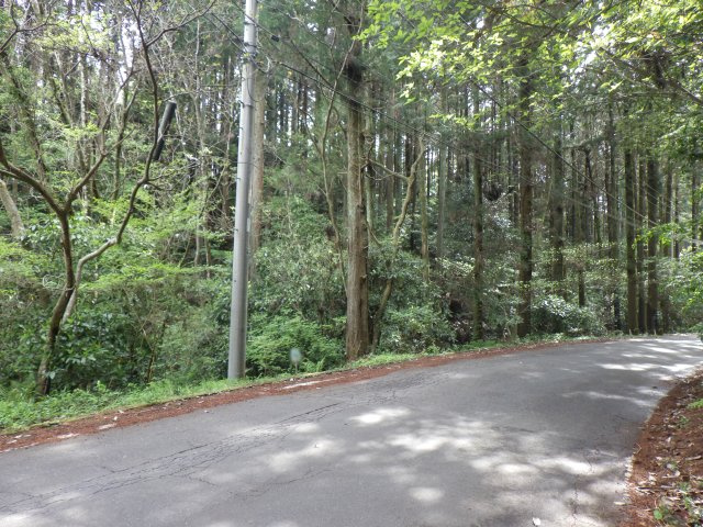伊豆エメラルドタウン㉜の前面道路含む現地写真