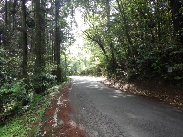伊豆エメラルドタウン㉜の前面道路含む現地写真