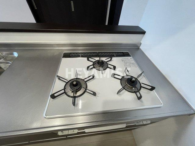 デア　デルマーレの設備