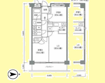 ステラコートの画像