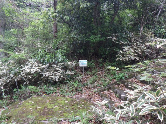 伊豆エメラルドタウン㉝の外観