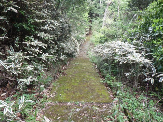 伊豆エメラルドタウン㉝の前面道路含む現地写真