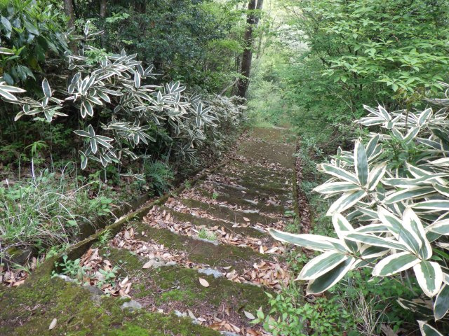 伊豆エメラルドタウン㉝のその他