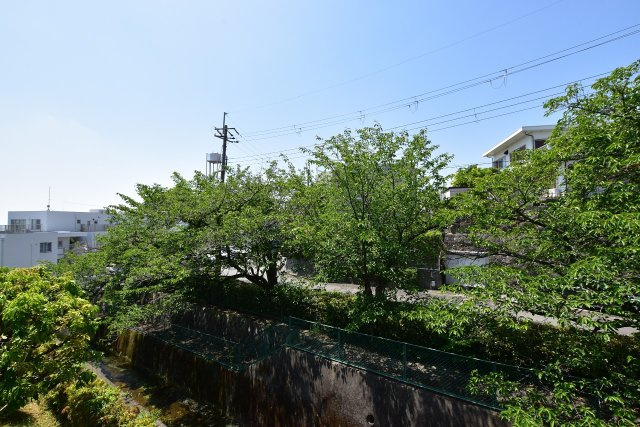 夙川台サンハイツA棟の展望|バルコニーからの眺望です。豊かな緑が目に飛び込んできます。