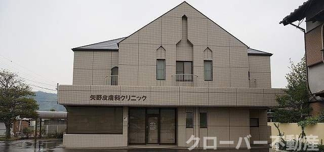 アルファ・ムスカェの周辺|矢野皮膚科クリニックさんまで800m