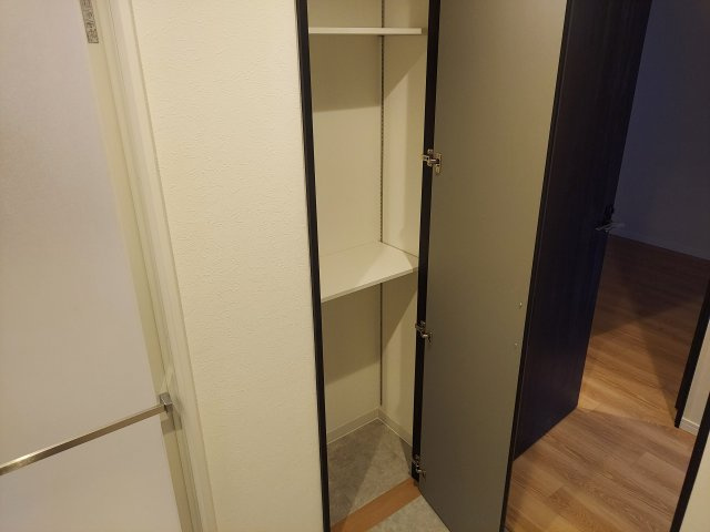 サンフル宝塚シティブレスの収納|洗面収納