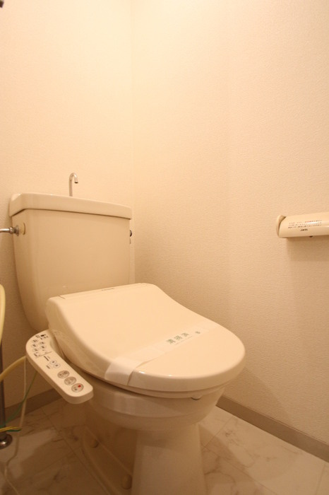 ヴルヴァール観世のトイレ