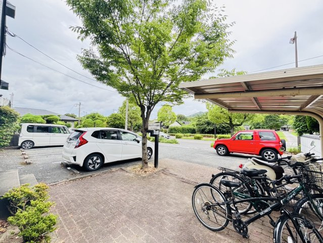 ヴルヴァール観世のその他