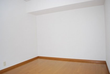 ヴルヴァール観世のその他