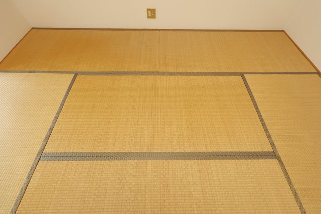 サニーエルムの内装