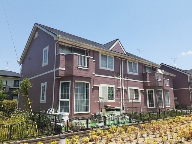 アンジェリーク