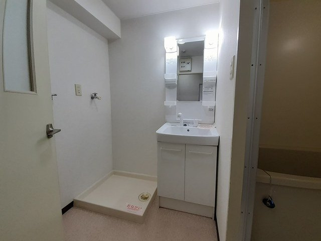 ディアコート横山の洗面所