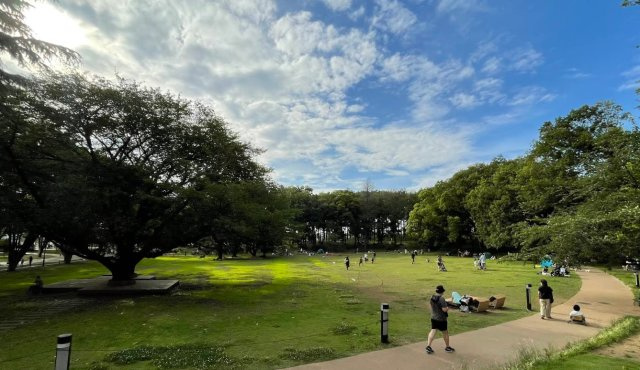 下鶴間　築4年中古戸建　庭付きのその他|鶴間公園は休日は家族の憩いの場としても人気です。