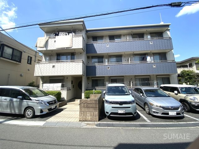 エバーグリーン