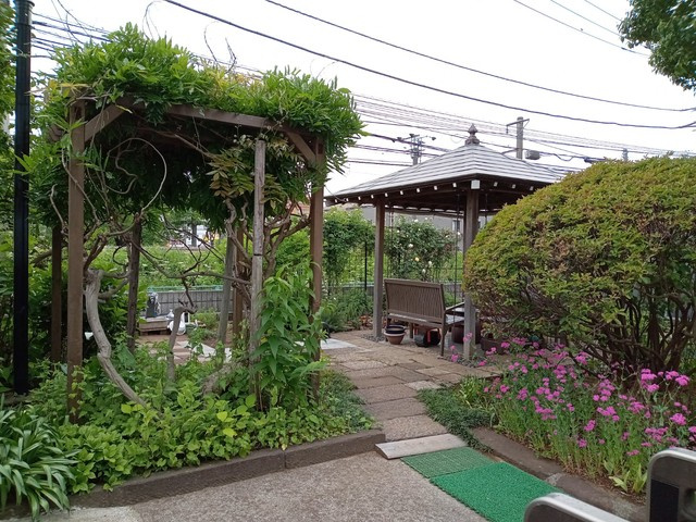 （シニア限定）ヘーベルVillage町田～やまだい～のその他共用部分|日当たりのよい和風庭園、自由に散策可