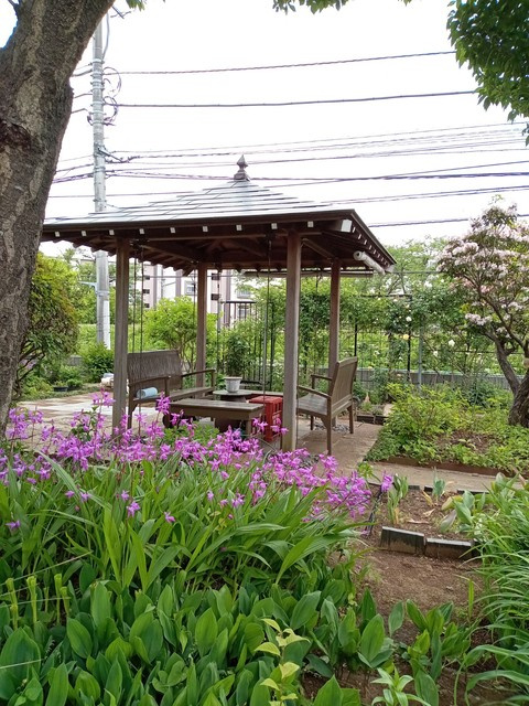 （シニア限定）ヘーベルVillage町田～やまだい～のその他共用部分|日当たりのよい和風庭園、自由に散策可