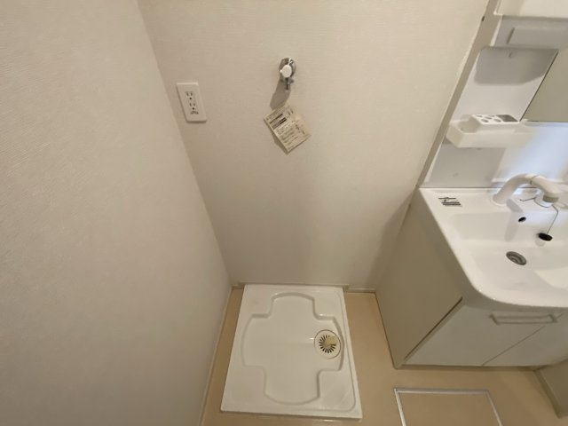 フィオレンティーナⅤのその他