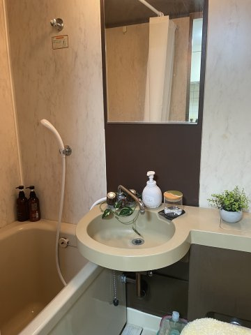 エルコ若松町マンションの洗面所