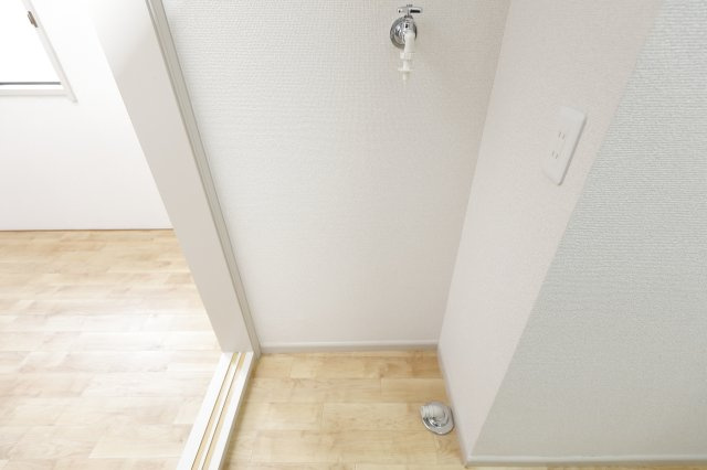 コーポルピナスのその他