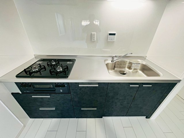 エルシティ桃山