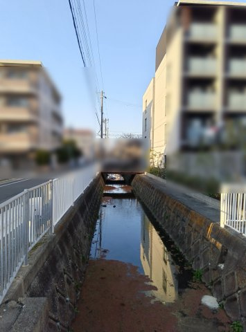 南塚口ハイツのその他|西側水路