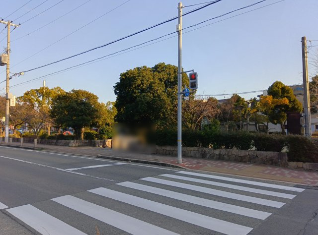 南塚口ハイツのその他|森前公園