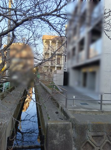 南塚口ハイツの外観|北側外観