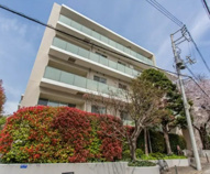 神宮前五丁目ブランシェの画像