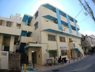 ゼファーひまわりの画像