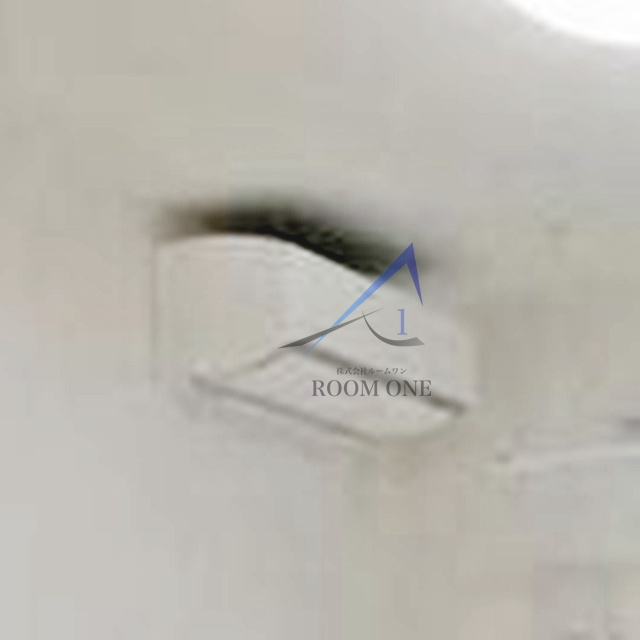 PARKMAISON(IOT賃貸)のその他