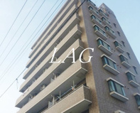 ライオンズマンション亀戸蔵前橋通りの画像