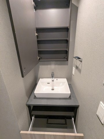 THE LIONS forsia文京湯島の設備|トイレと独立した洗面脱衣室、洗面台下にはヘルスメーターストック