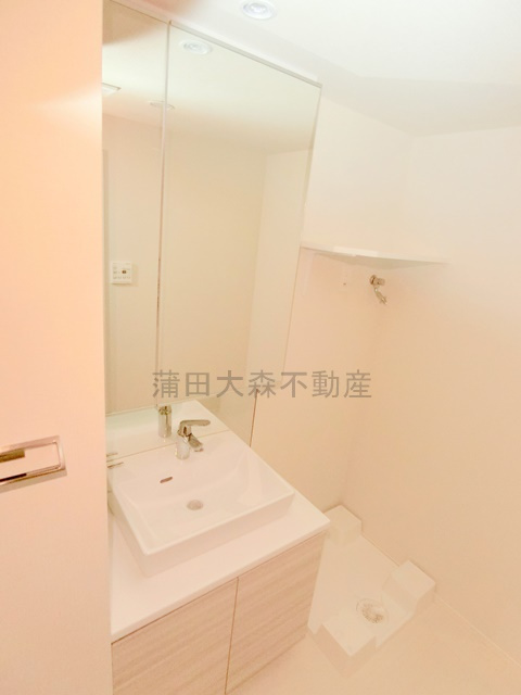 PREMIUM　CUBE大森TORISの洗面所