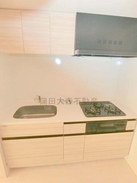 PREMIUM　CUBE大森TORISのキッチン|3口ガスグリル付システムキッチン