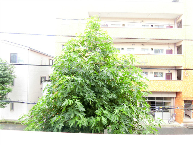 ロータス平和島Eastイースト