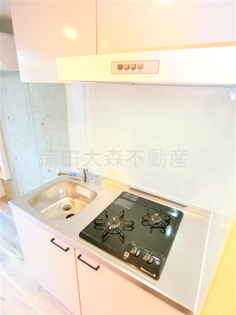 ロータス平和島Eastイーストのキッチン|2口ガスシステムキッチン