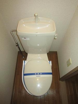 グリーンコート　Ａのトイレ|トイレです