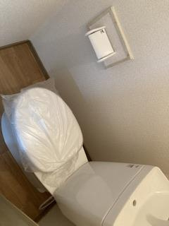 グリーンコート　Ａのトイレ|落ち着いた色調のトイレです