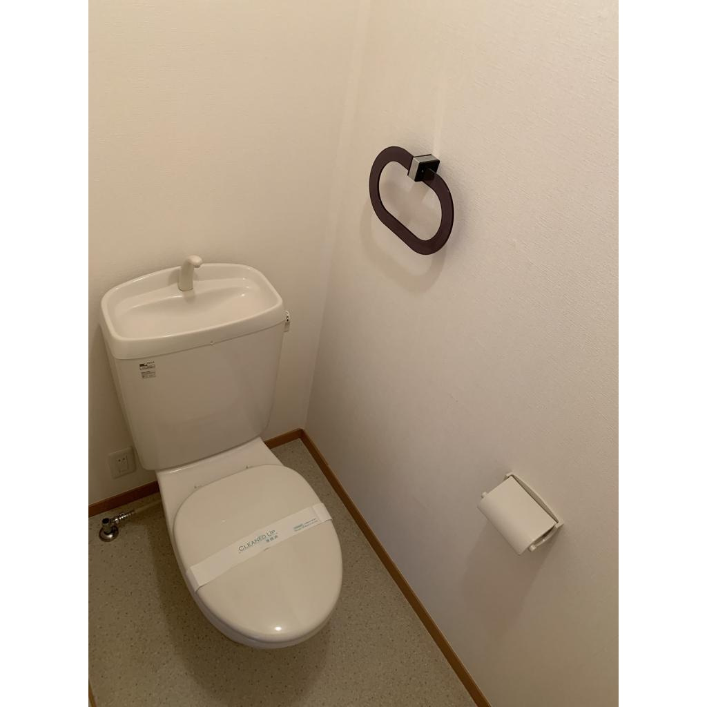 エーデルハイム　Ａのトイレ|落ち着いたトイレです