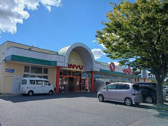 ラフィーネ緑岡Ａの周辺|サンユーストアー　千波店まで1100m
