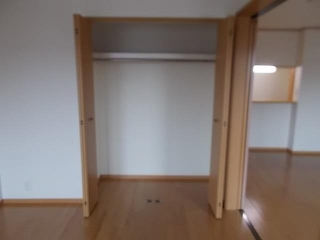 アルメリアＡの収納|大きなものも収納できそうです