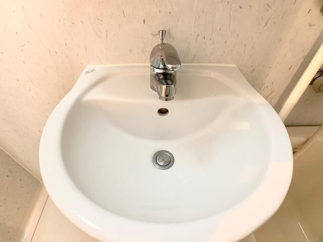 ミューズ両国Ⅱの洗面所