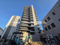 ファンファーレ黄金の画像