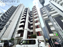 GLORYKISERA(グローリーキセラ)の画像