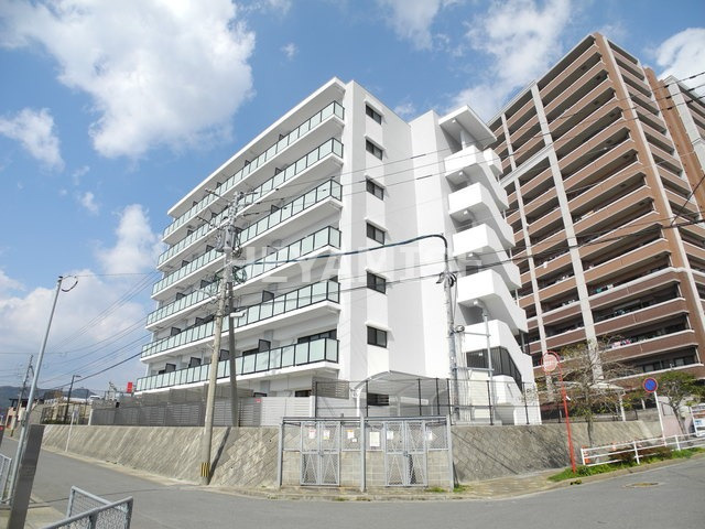 modern palazzo女神大橋