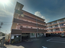 レプトン大福の画像