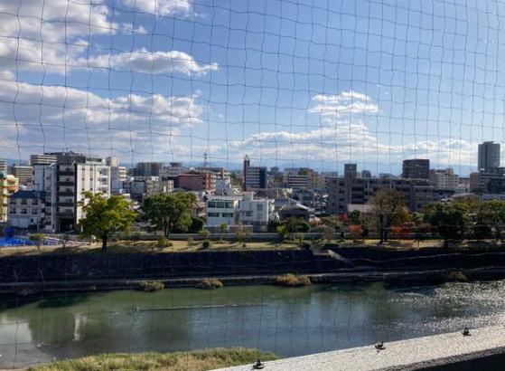 ラ・レジェンダ白川公園の展望