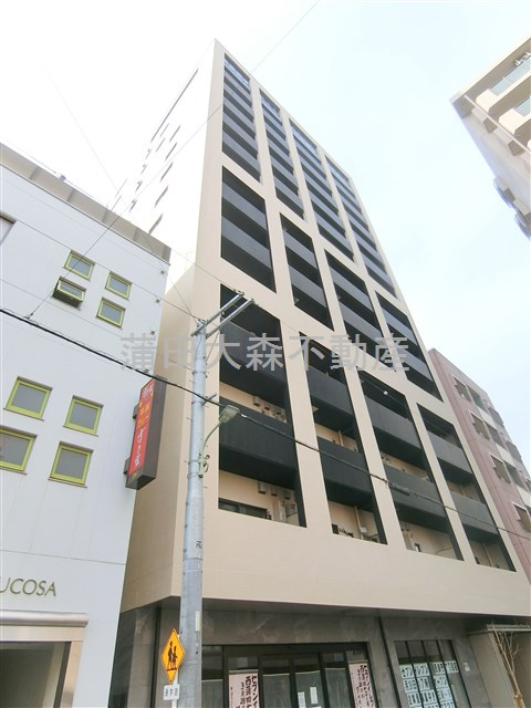 Plumeria（プルメリアの外観