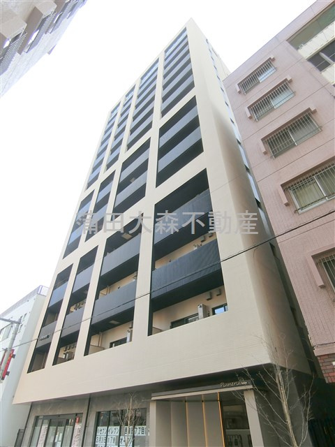 Plumeria（プルメリアの外観